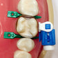 QuickConnect Anatomy Band Introductory Kit